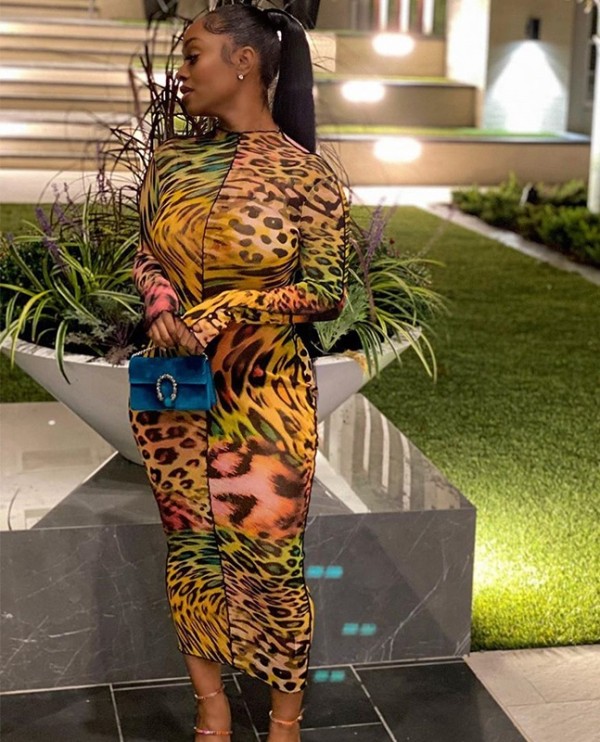 Autumn Party Leopard Print Midi Dress