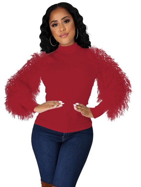 Autumn Solid Round Neck Blouse with Plush Sleeve