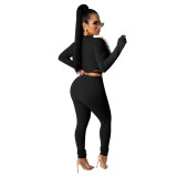 Autumn Party Black Sexy Feather Crop Top and Pants Set