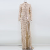 Autumn Occassional Tassel Sequin Side Slit Long Dress