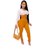 Autumn Party Sexy Contrast Crop Top and Pants Set