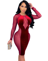 Frühling Sexy Red Mesh Patch Samt Party Bodycon Kleid
