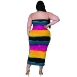 Plus Size Spring Colorful Tube Dress with Matching Cardigans