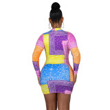 Plus Size Print Long Sleeve Colorful Bodycon Dress