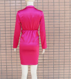 Spring Party Sexy Pink Satin Deep-V Ruched Bodycon Dress