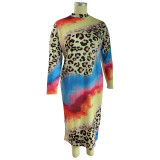 Plus Size Leopard Print Long Sleeve Bodycon Dress
