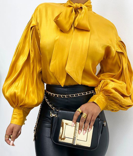 Vintage Style Puff Sleeve Tied Elegant Blouse