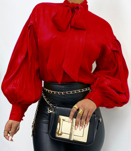 Vintage Style Puff Sleeve Tied Elegant Blouse
