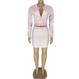 Casual Long Sleeve Plaid Zipper Crop Top and Mini Skirt Set