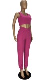 Summer Casual Pink Tank Crop Top and Sweatpants Matching 2PC Set
