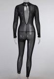 Summer Party Sexy Transparent Long Sleeve Bodycon Jumpsuit