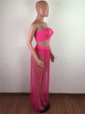 Summer Pink Bandeau Top and Mesh Skirt 2PC Set