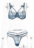 Sexy Blue Lace Bra and Panty Lingerie Set