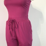 Summer Casual Purple Vest and Sweatpants 2pc Set