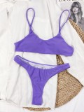 Two-Piece Purple Sexy Thong Strap Swimwear