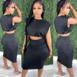 Summer Formal Black Sexy Crop Top and Pencil Skirt Set