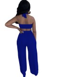 Summer Blue Sexy Halter Crop Top and Loose Pants 2PC Set