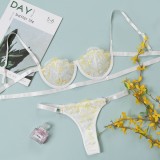 Summer Sexy Floral Bra and Panty Lingerie Set