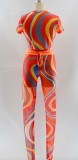 Summer Multicolor Sexy Bodycon Crop Top and Pants Set