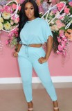 Summer Casual Blue Crop Top and Matching Pants 2PC Set