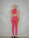 Summer Block Color Sexy Bodycon Crop Top and Matching Pants 2pc Set