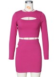 Autumn Casual purple cut out long sleeve crop top and mini skirt matching set
