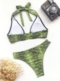 Summer Sexy Snake Print Two Piece Swimsuit
