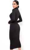 Autumn Elegant Black High Neck Long Sleeve Midi Dress