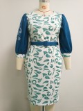 Summer Plus Size Mother of Bride Print With Teal Half sleeve Midi Dress