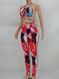 Summer Party Print Sexy Halter Crop Top and Pants Set