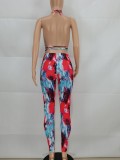 Summer Party Print Sexy Halter Crop Top and Pants Set