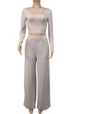 Autumn Casual Grey Crop Top and Wide Pants Set