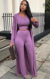 Autumn Casual Purple Long Rope with Button Crop Top and Pant 3 piece set