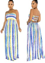 Summer Stripes Printed Tube Strapless Maxi Dress