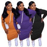 Fall Plus Size Purple Knit Turtleneck Midi Bodycon Dress