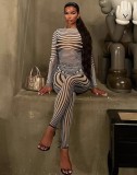 Fall Sexy See Through Zebra Top and Pants Set