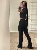 Fall Casual Black Crop Top and Pants 2 Piece Velvet Tracksuit