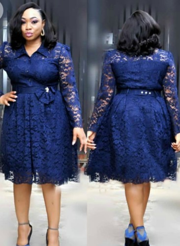 Fall Plus Size Mother of the Bride Blue Lace Skater Dress