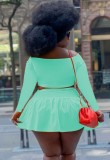 Fall Plus Size Green Crop Top and Pleated Skirt Set