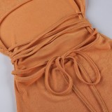 Autumn Sexy Brown Velvet Long Sleeve Backless Mini Dress