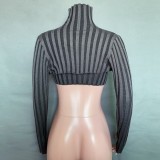 Autumn Casual Black Hollow out High neck Long Sleeve Crop Top