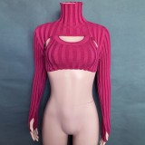 Autumn Casual Rose Hollow out High neck Long Sleeve Crop Top
