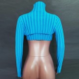 Autumn Casual Blue Hollow out High neck Long Sleeve Crop Top