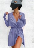 Fall Casual Purple Long Sleeve Plunge Neck Mini Dress