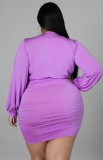 Fall Sexy Plus Size Purple V-neck Ruffled Bodycon Dress