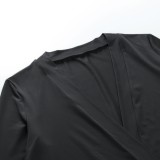 Fall Casual Black Long Sleeve Plunge Neck Mini Dress