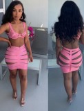 Summer Sexy Hollow Out Pink Bra and Skirt Set