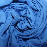 Autumn Plus Size Casual Blue Round Neck Long Sleeve Jumpsuit