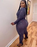 Fall Plus Size Sexy Print See Through Zip Long Sleeve Slim Jumpsuit
