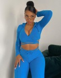 Fall Sexy Blue Cut Out Tie Up  Long Sleeve Crop Top And Pant Set